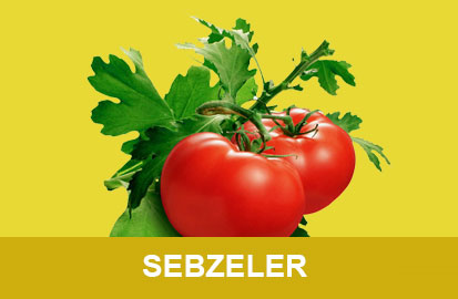 Sebzeler