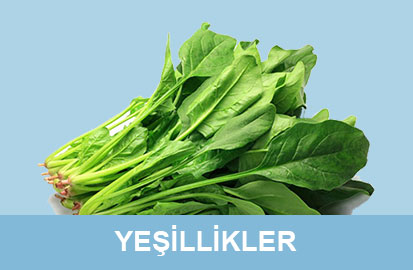 Yeşillikler